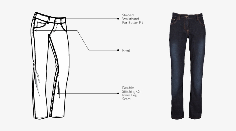 Women's Jeans - Diagram - Free Transparent PNG Download - PNGkey