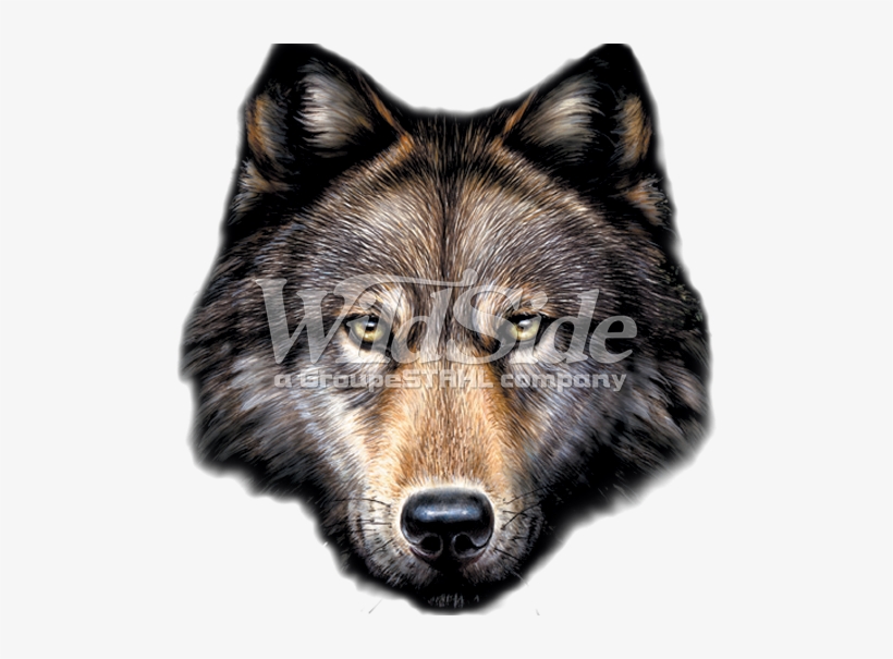 Wolf Head - Wolf Head Png Transparent, transparent png #63244