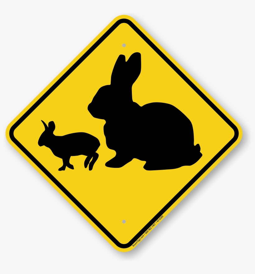 Free Free Bunny Crossing Svg 480 SVG PNG EPS DXF File