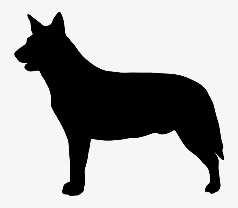 Download Cattle Dog Silhouette At Getdrawings Australian Cattle Dog Silhouette Free Transparent Png Download Pngkey
