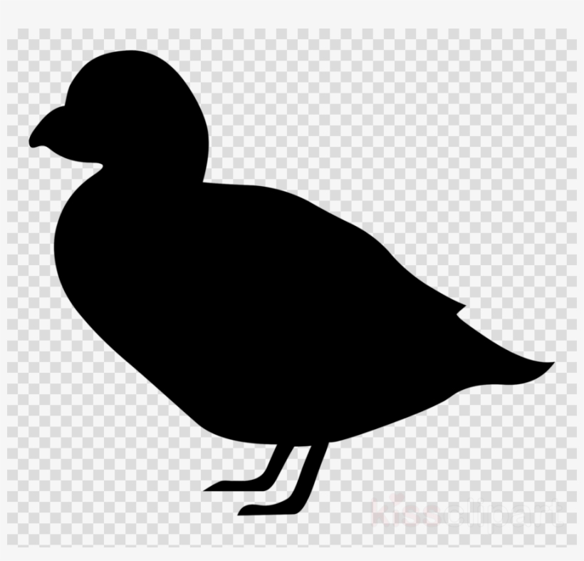 Duck Silhouette Transparent Clipart Goose Duck Bird - Free Transparent ...