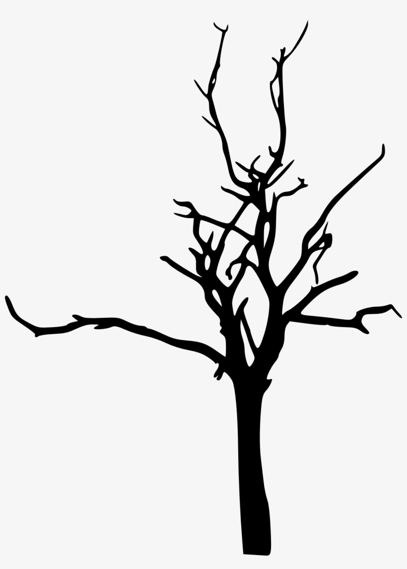 Oak Tree Drawing png download - 1680*2314 - Free Transparent Tree png  Download. - CleanPNG / KissPNG