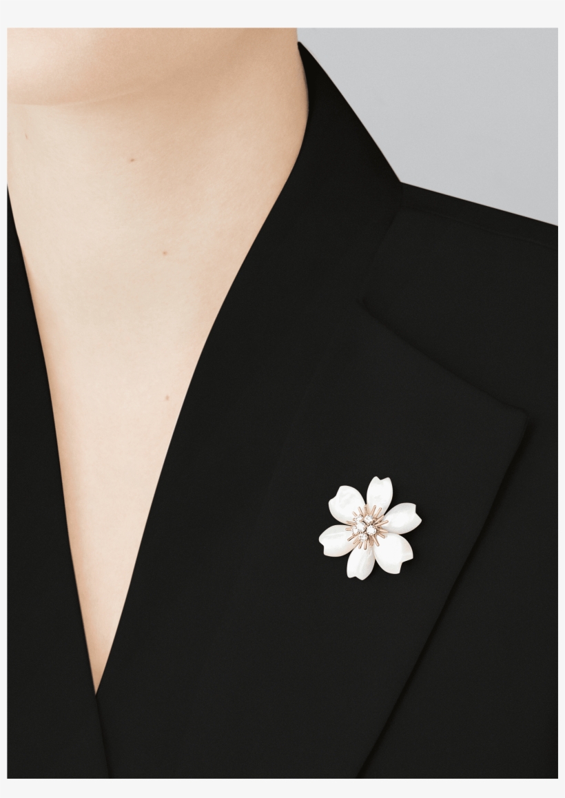 Formal Wear - Free Transparent PNG Download - PNGkey