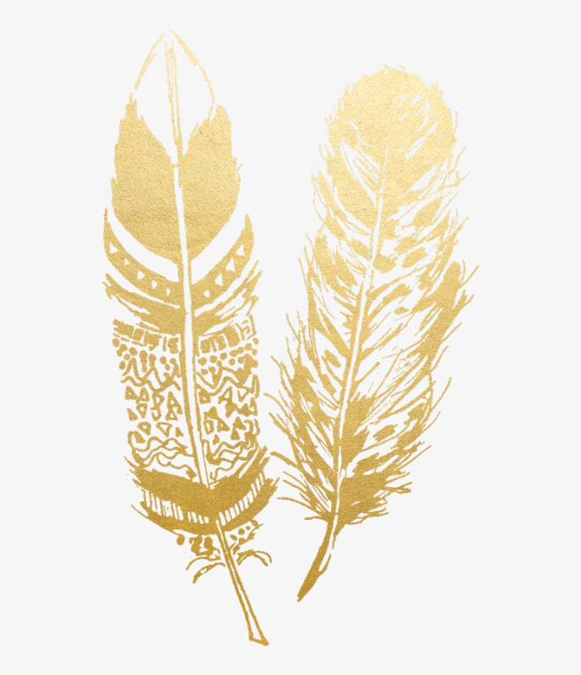 Gold Feather Feathers Native Boho Pretty Decals Decor Gold Feather