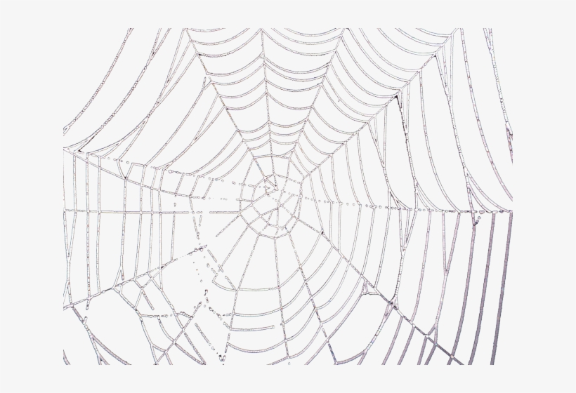spider web drawing tumblr