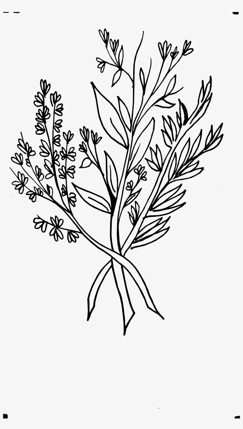 Beautiful Flowers 2019 » Wild Flower Drawing - Wild Flowers Png Drawing ...