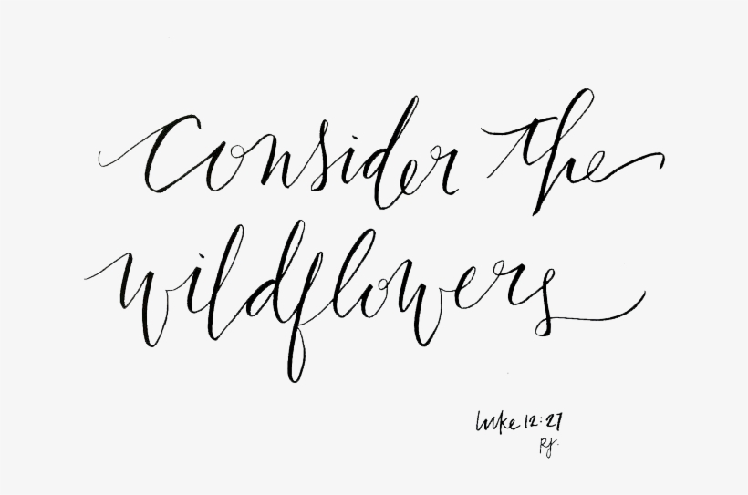 Consider - Calligraphy, transparent png #694335