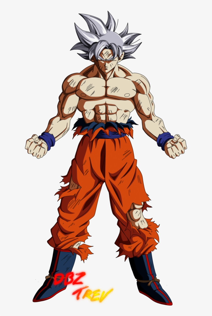 Pictures Of Goku Ultra Instinct Full Body - Gambarku
