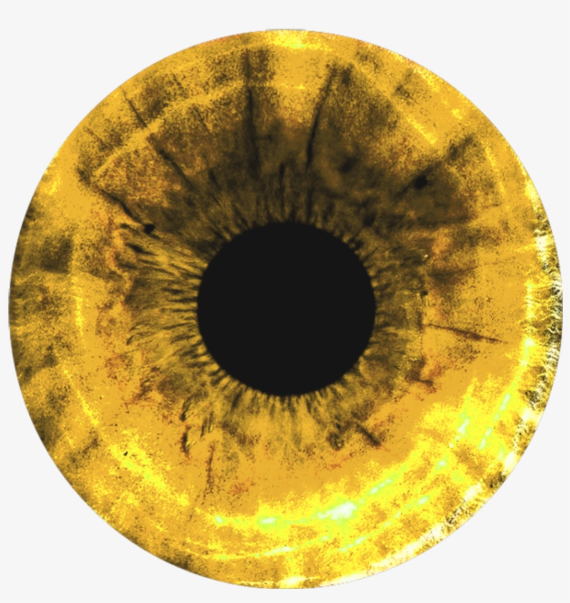 Circulo Olho Yellow Amarelo Eyes Art Free Transparent Png Download Pngkey