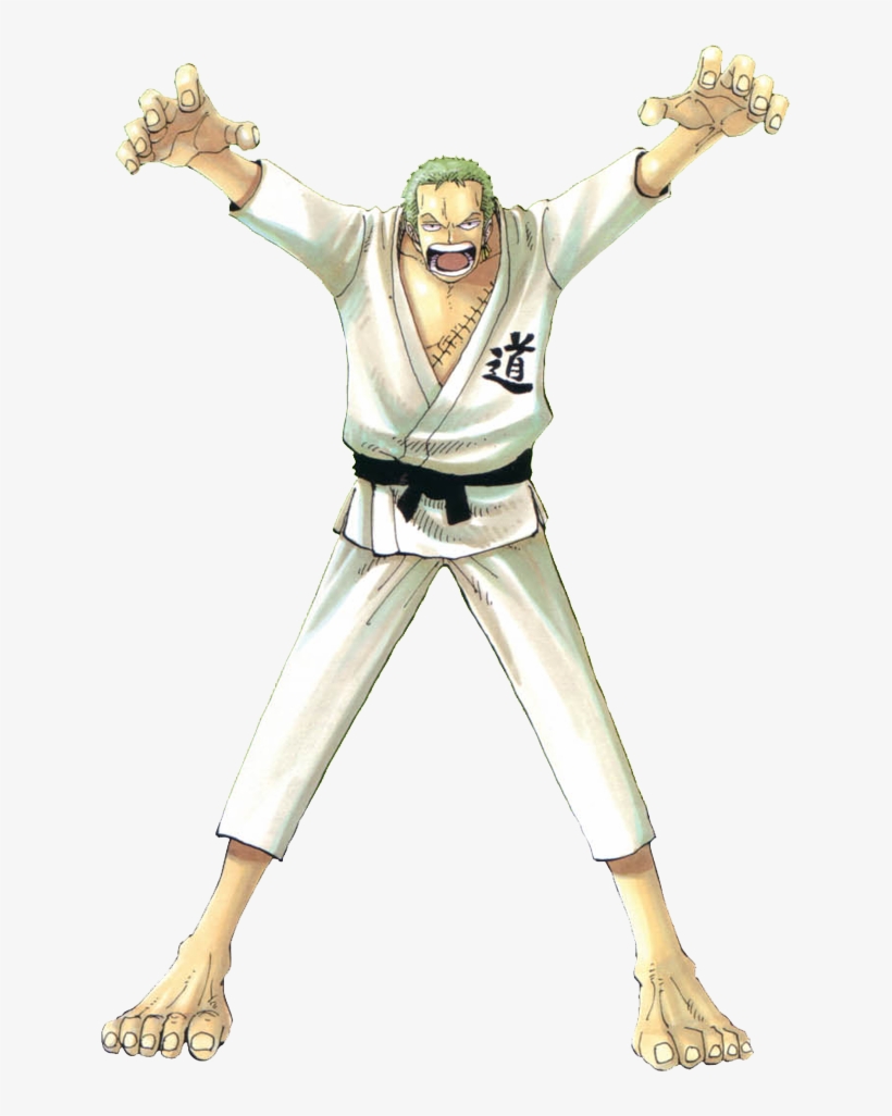 Roronoa The Team Mugiwara - One Piece Roronoa Zoro Ii Green Full Set  Cosplay Costume - Free Transparent PNG Download - PNGkey