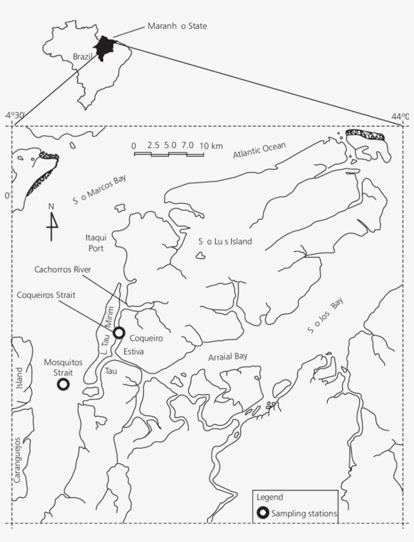 Location Of The Sampling Stations - Free Transparent PNG Download - PNGkey