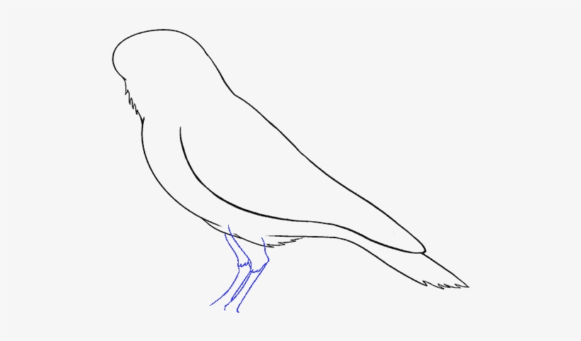 How To Draw A Raven - Sketch - Free Transparent PNG Download - PNGkey