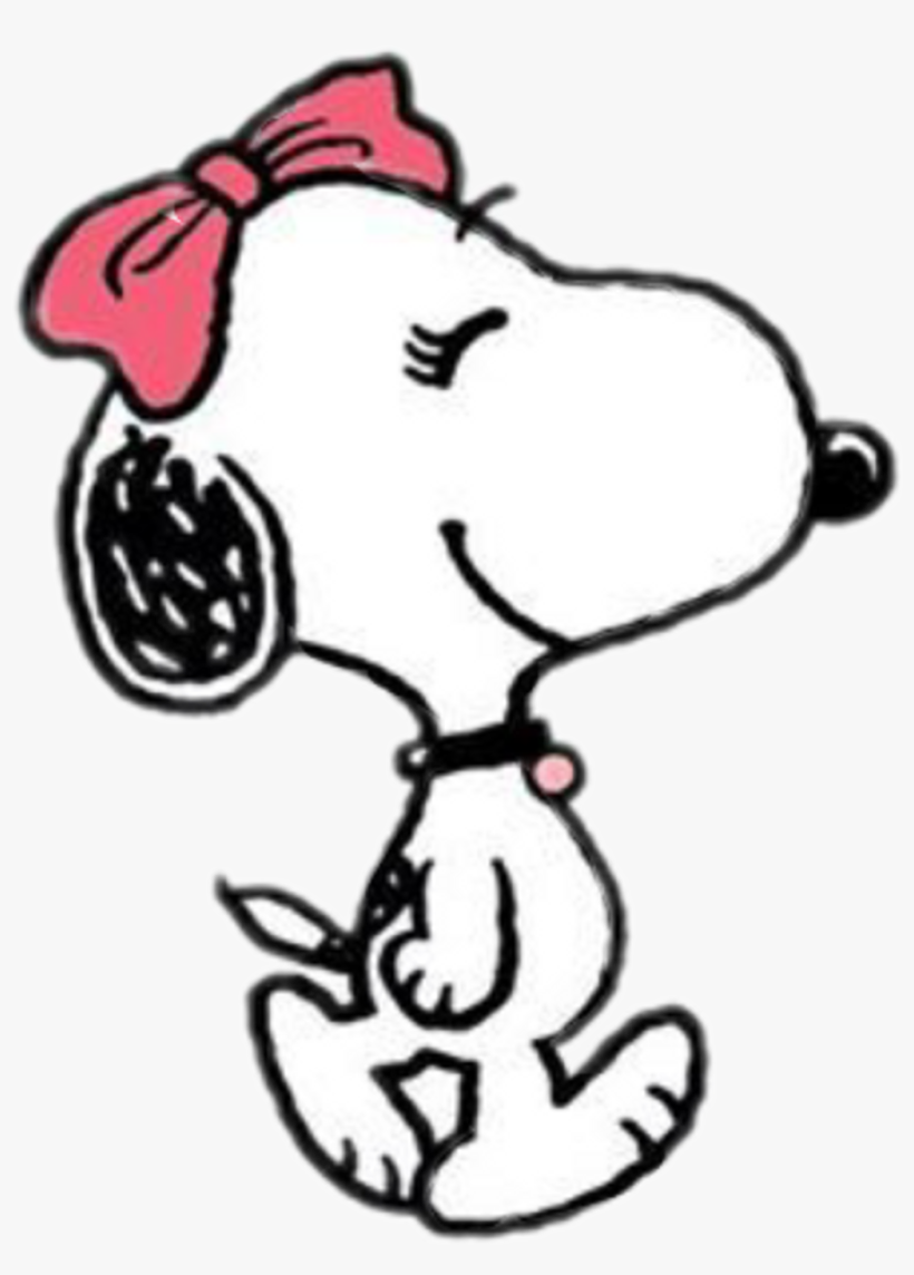 Report Abuse - Belle Peanuts - Free Transparent PNG Download - PNGkey