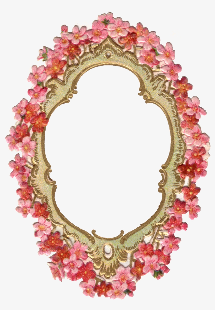 349 Cadre Fleurs Rouge - Free Transparent PNG Download - PNGkey