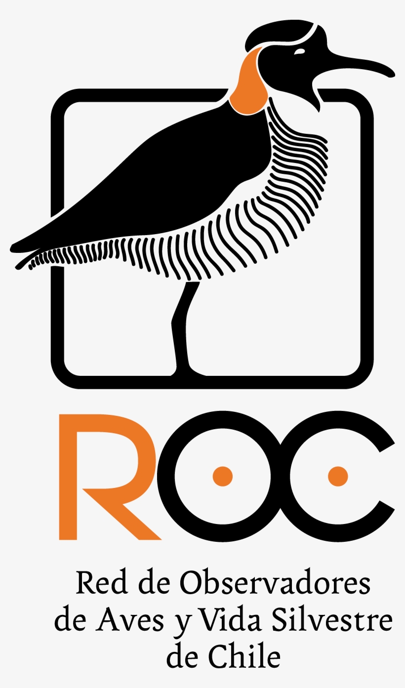 Logo Roc - Free Transparent PNG Download - PNGkey