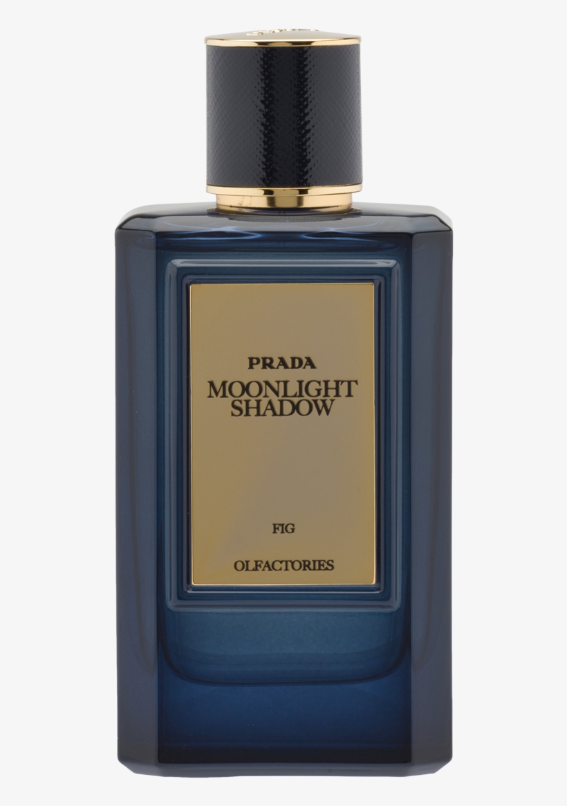 Prada Fragrances Men - Free Transparent PNG Download - PNGkey