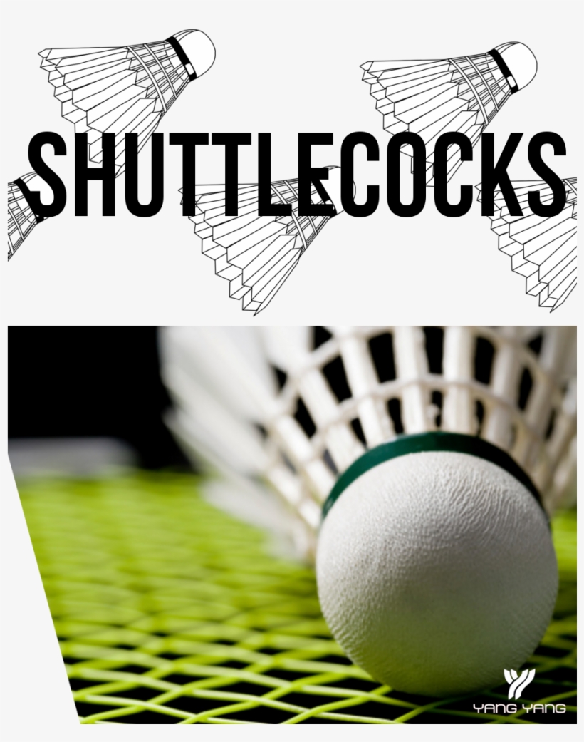 Shuttlecock Badminton Olympics 2012 Free Transparent PNG Download