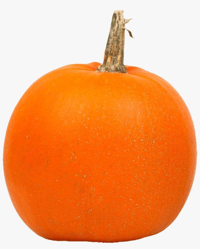 all-png-images-have-a-transparent-background-so-they-re-pumpkins-in-a