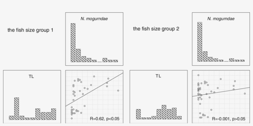 In The Lower Class Of Fish Length , Spearman's Test - Diagram, transparent png #7746009