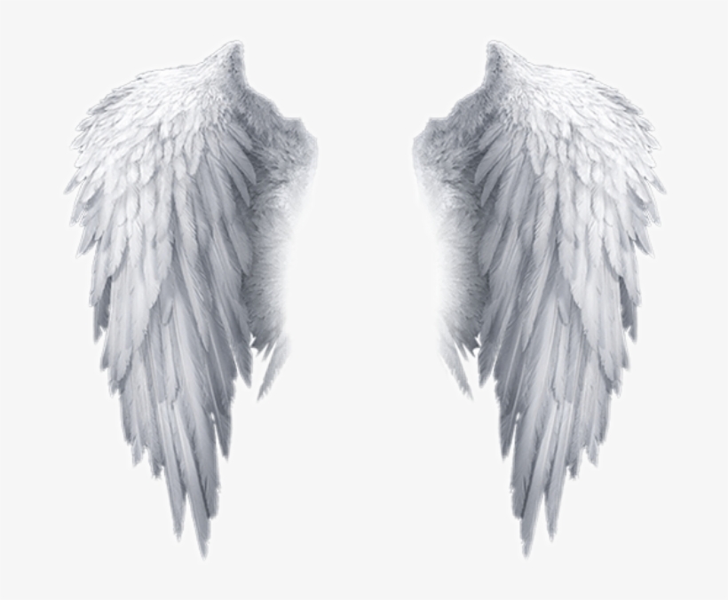 Popular And Trending Feather Stickers On Picsart - Free Png Angel Wings ...