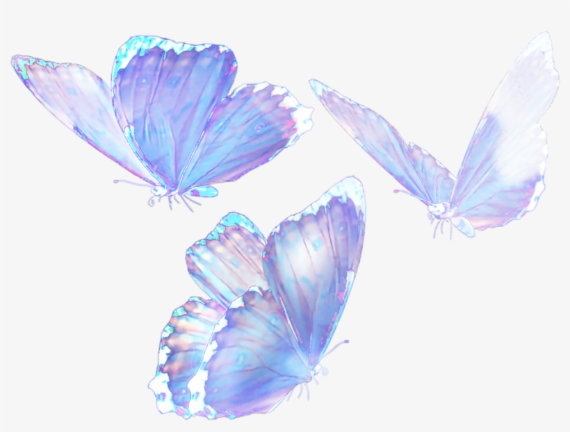 Mq Butterfly Butterflys Flying Blue Nature Png Flying - Adonis Blue, transparent png #7776108