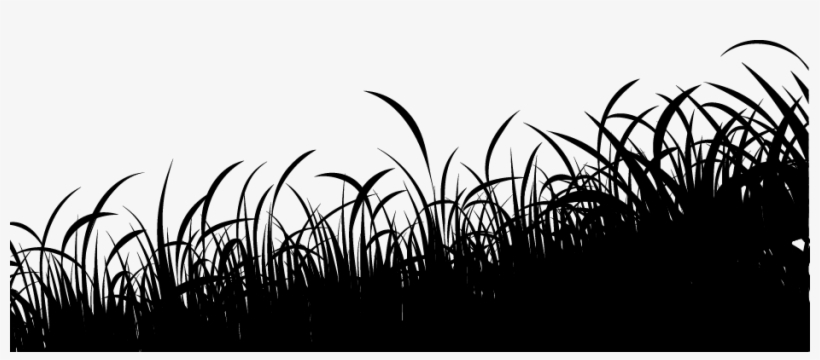 Download Grass Silhouette Grass Silhouette Grass Free Transparent Png Download Pngkey