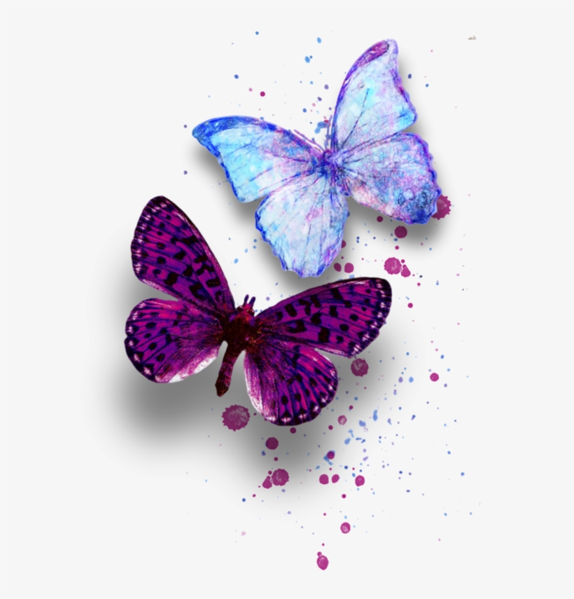 Image Du Blog Zezete2 - Butterfly, transparent png #7837536