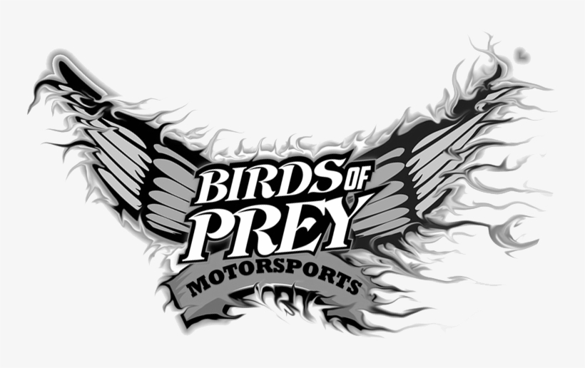 Birds Of Prey Motorsports - Free Transparent PNG Download - PNGkey