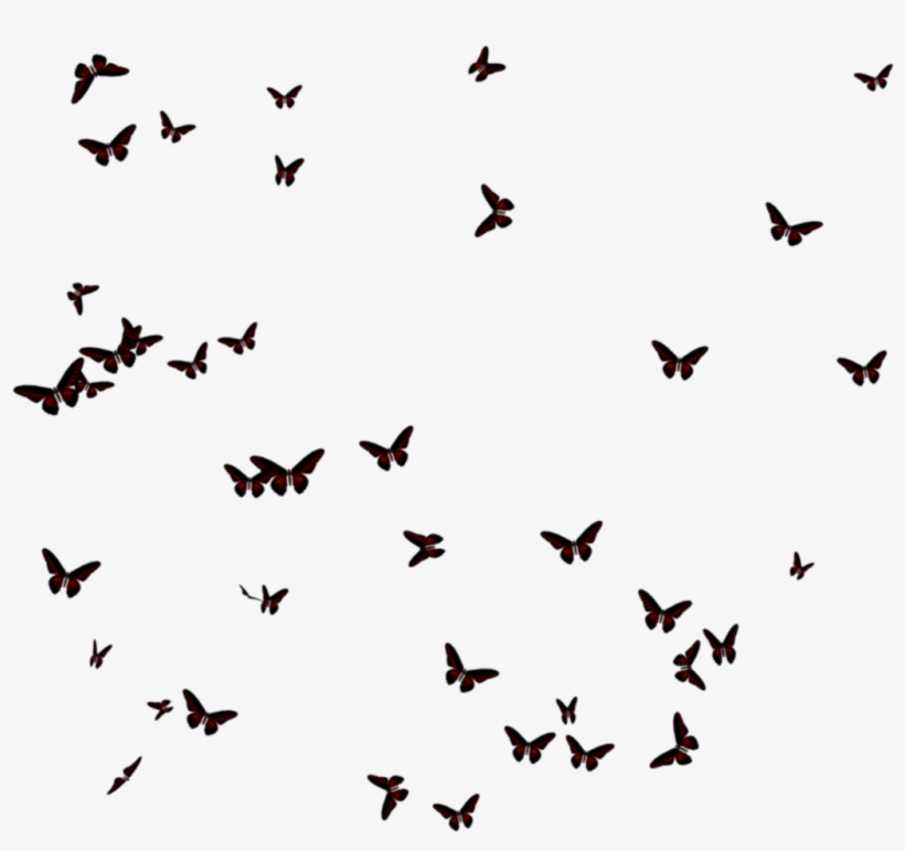 Butterflies Transparent Images - Nurturing A Backyard Habitat For Wildlife, transparent png #799378