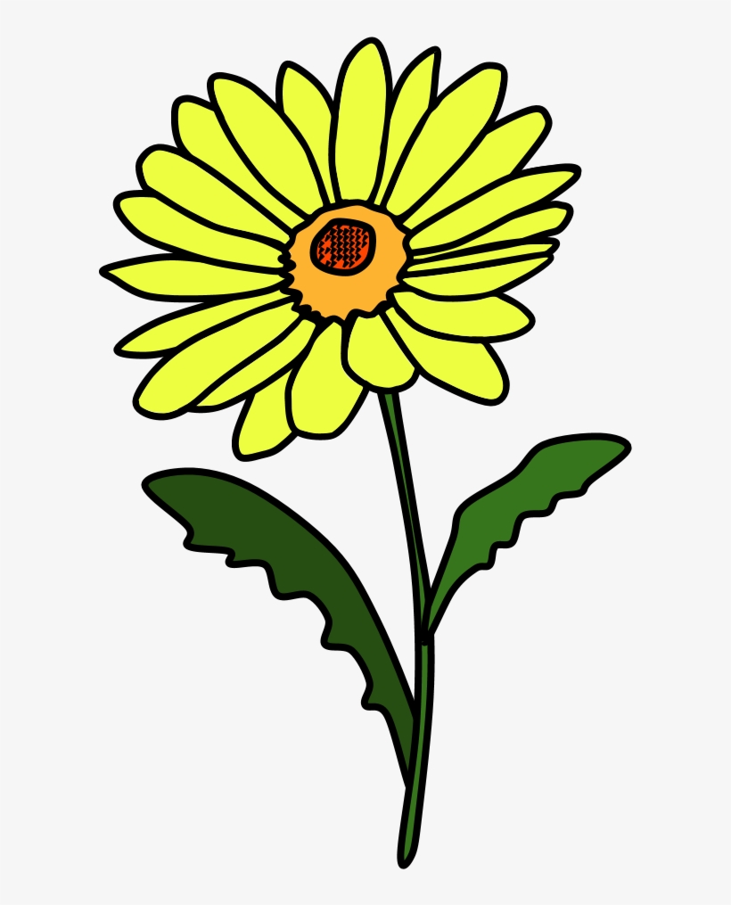 Daisy, Petals, Yellow, Png - Sunflower - Free Transparent PNG Download ...