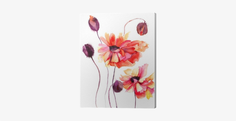 Beautiful Poppy Flowers, Watercolor Painting Canvas - Let Go Of What Makes You Sad, transparent png #85282