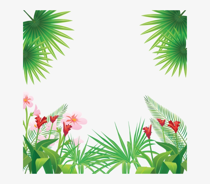 tropical leaves png images tropical frame png free transparent png download pngkey tropical leaves png images tropical