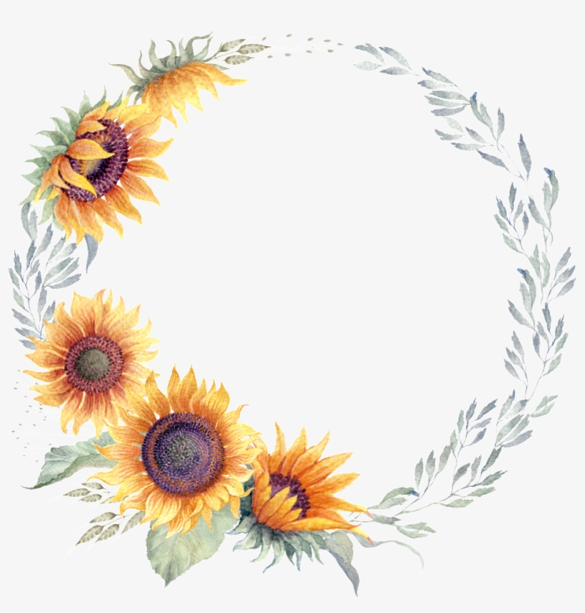 Sunflower - Free Transparent PNG Download - PNGkey