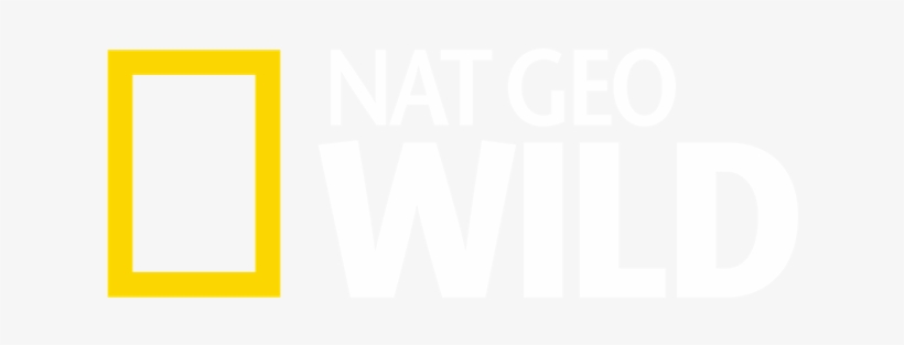 National Geographic Strives To Offer Intelligent, Relevant - National ...