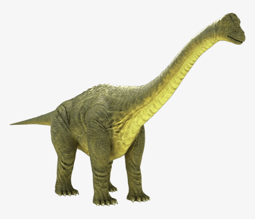 850 X 850 2 - Brontosaurus Png - Free Transparent PNG Download - PNGkey