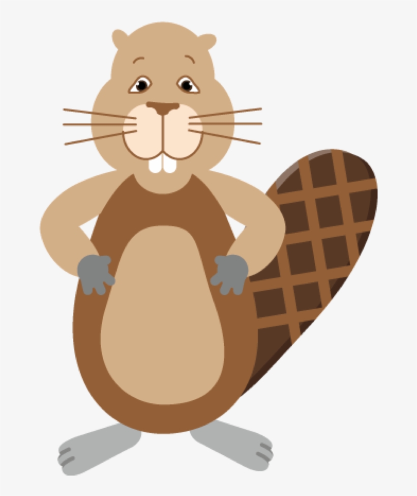 Beaver Straight - Cartoon - Free Transparent PNG Download - PNGkey