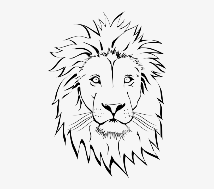 A Lion Head Vector Cartoon Graphic Design Illustration With A Brooding  Mood, Created In The Style Of Spray Painted Realism And Realistic Graphite  Drawings. This High-detail Artwork Showcases The Detailed Anatomy Of