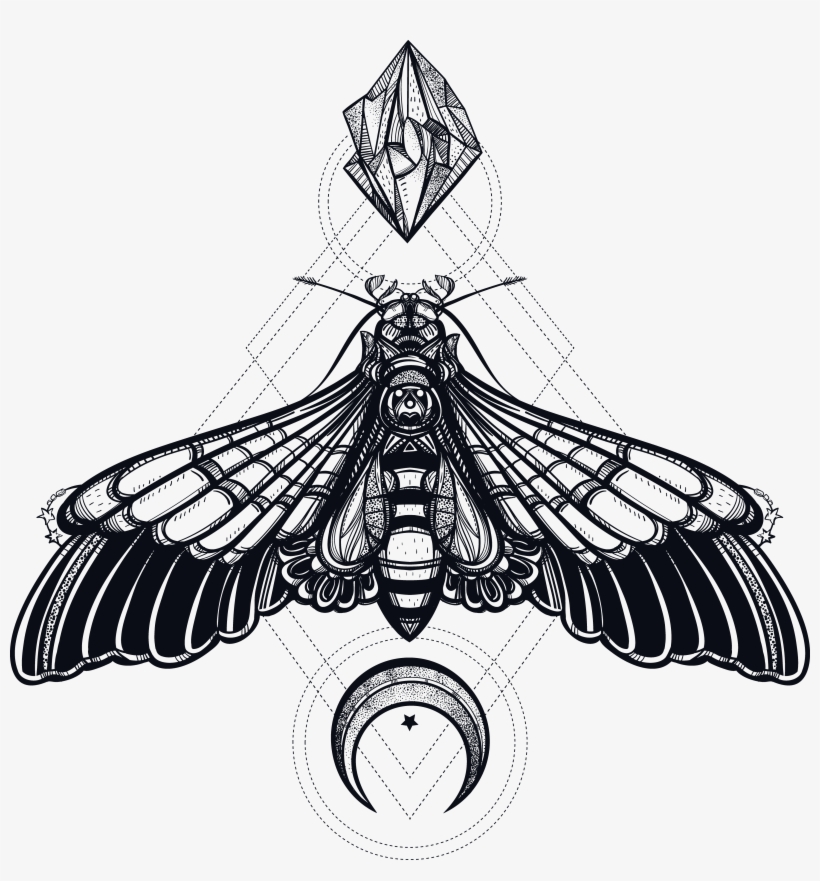 Buy Moon Moth Tattoo Design Stencil Online in India  Etsy