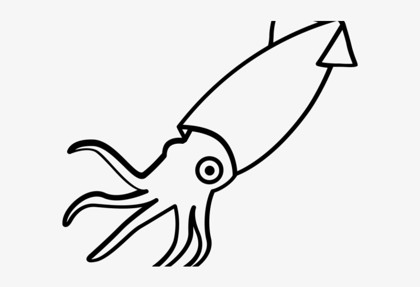 Drawn Squid Invertebrate - Squid Drawing Png - Free Transparent PNG ...