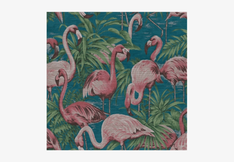 Wallpaper Flamingo - Arte Flamingo - Free Transparent PNG Download - PNGkey