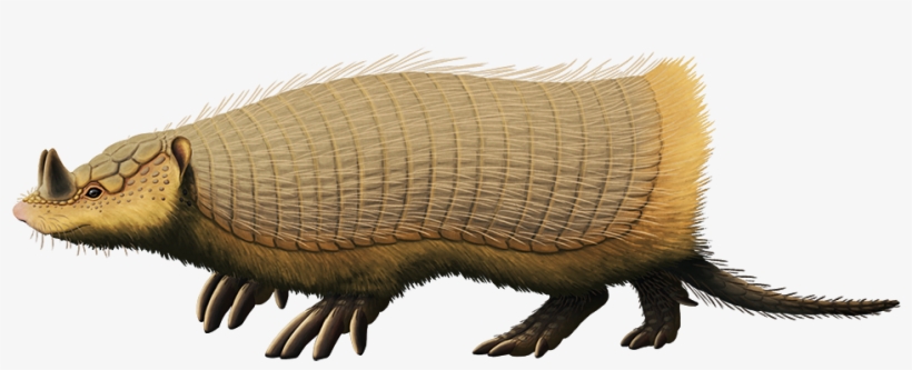 DOWNLOAD Mighty The Armadillo PNG Transparent Image, Pxpng