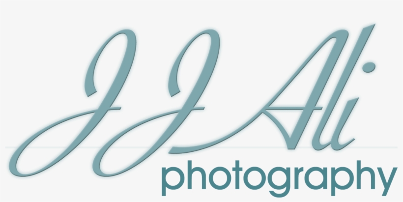 Ap Photography Free Transparent Png Download Pngkey