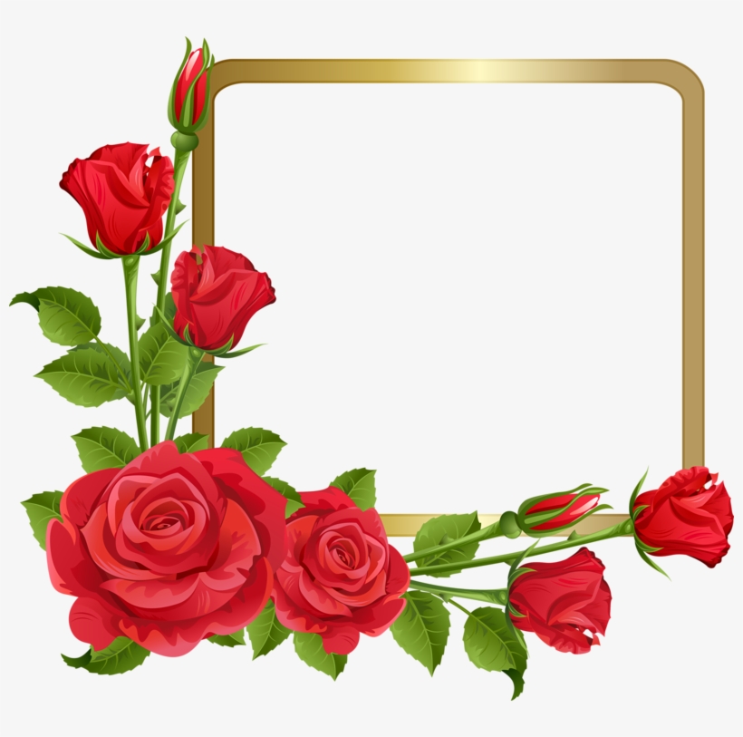 Фото, Автор Bzikolya На Яндекс - Rose Flower Border Design, transparent png #8714023