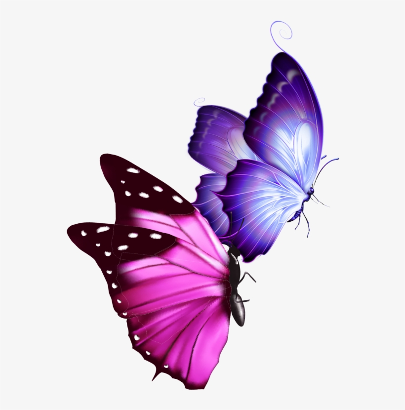 Mq Sticker - Papilio - Free Transparent PNG Download - PNGkey