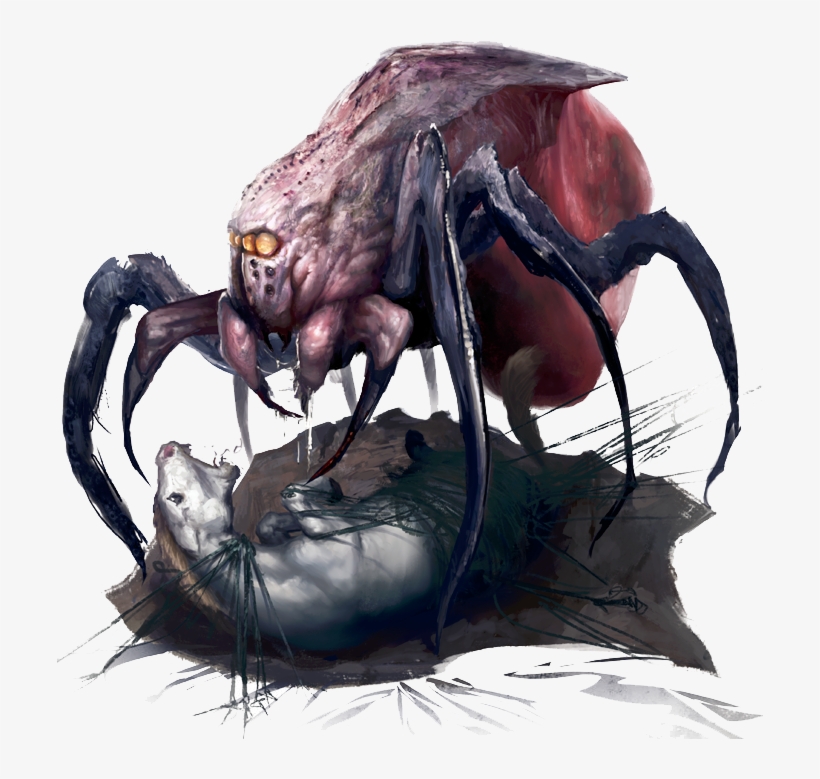 Leng - Spider - 01 - Illustration - Free Transparent PNG Download - PNGkey