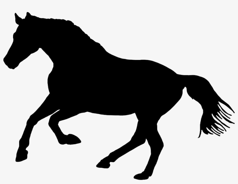 Black Silhouette Of Horse In Nature - Silueta De Un Caballo - Free ...