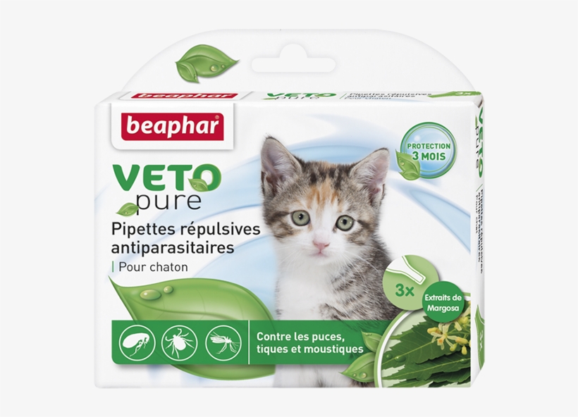 От блох для котят. Veto Pure для кошек. Beaphar veto Pure спрей. Beaphar shampooing chats and Chatons. Beaphar veto Pure спрей инструкция.