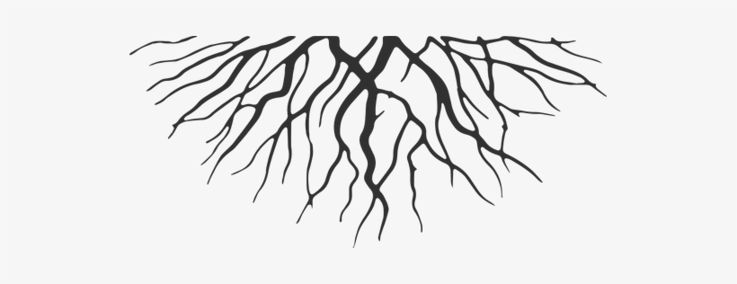 Roots Png - Roots Cartoon - Free Transparent PNG Download - PNGkey