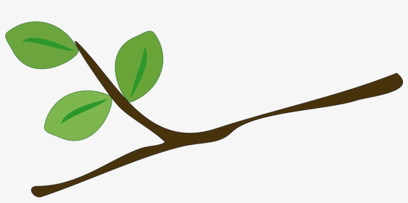 Branch Cartoon - Free Transparent PNG Download - PNGkey