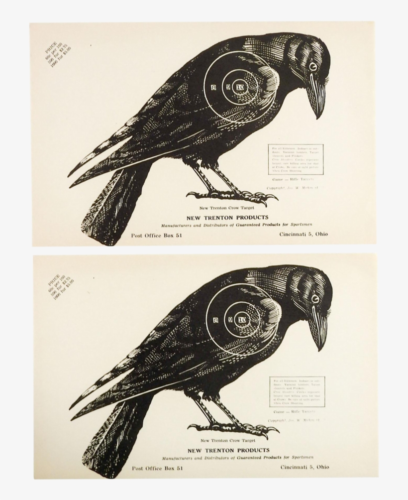 1960s vintage crow raven paper targets target free transparent png download pngkey